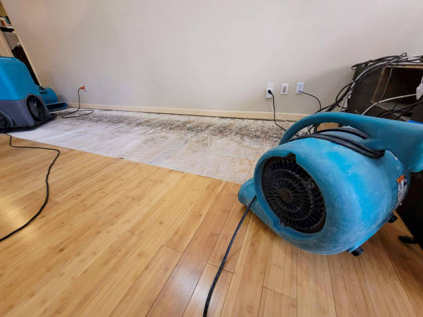Reliable Basement Flood Cleanup contractor in Nolanville, TX by Hirex Water Damage