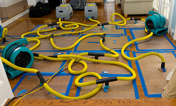 Professional Basement Flood Cleanup technician working in Nolanville, TX